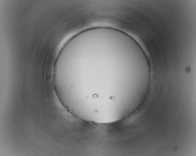 X0000112530815200909071356