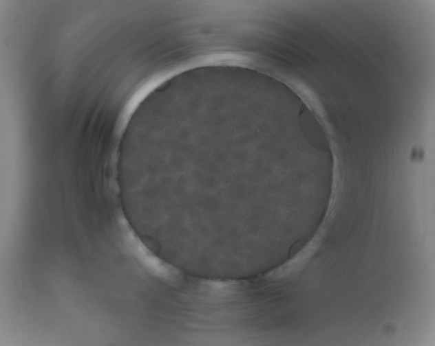 X0000112530816200909071356