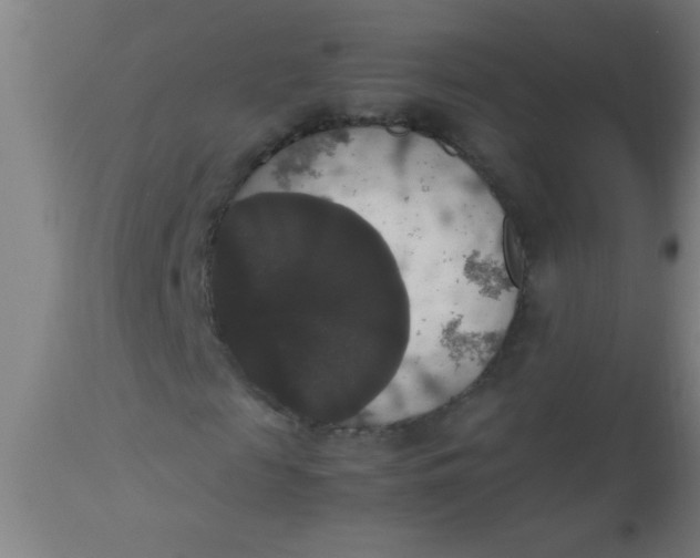 X0000112530817200909071355