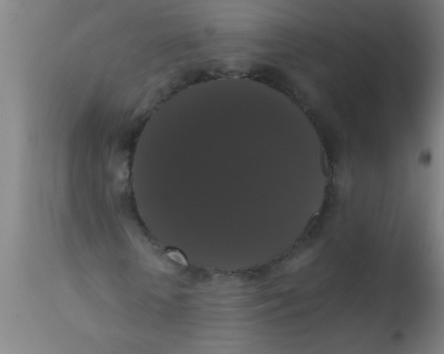 X0000112530818200909071355