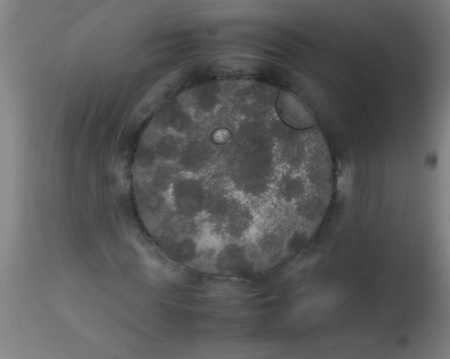 X0000112530819200909071355