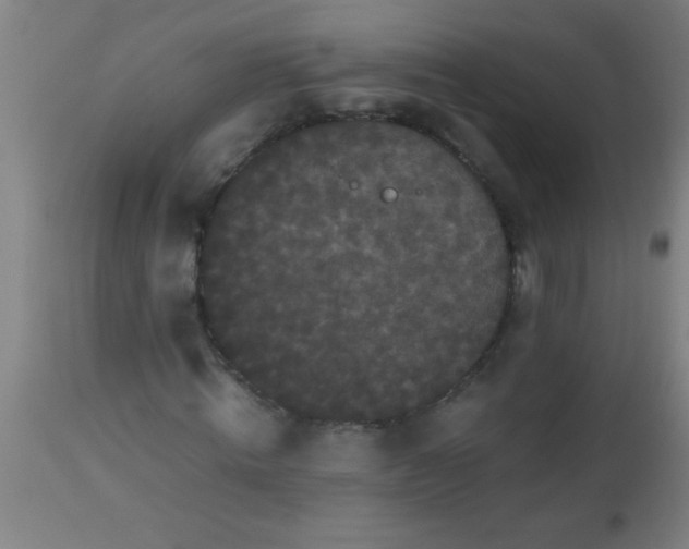 X0000112530820200909071355