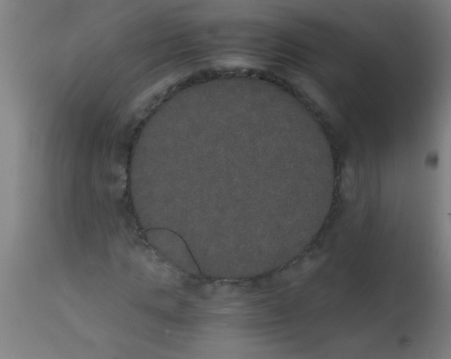 X0000112530821200909071355