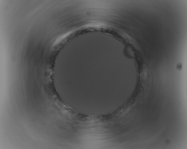 X0000112530822200909071355