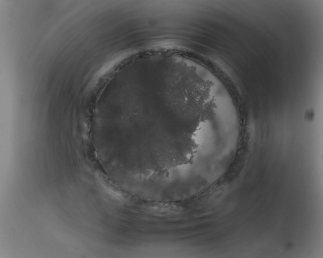 X0000112530823200909071355