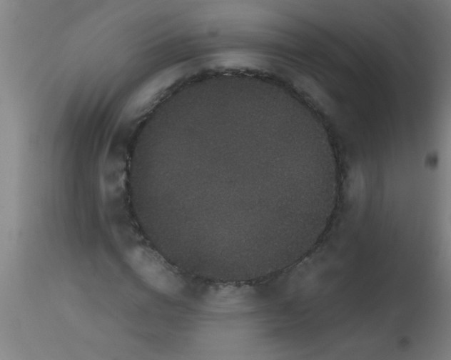 X0000112530824200909071355