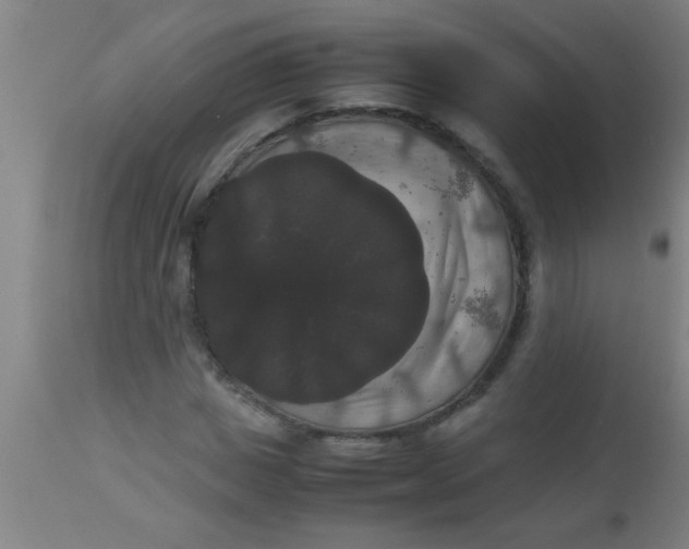 X0000112530825200909071355