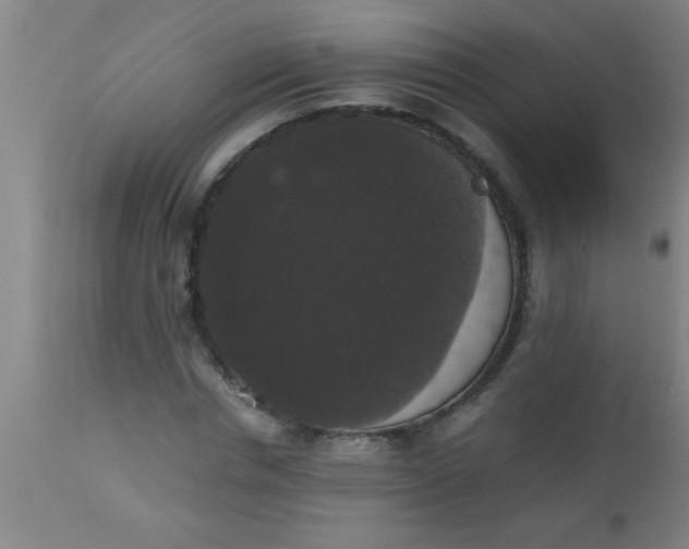 X0000112530826200909071355