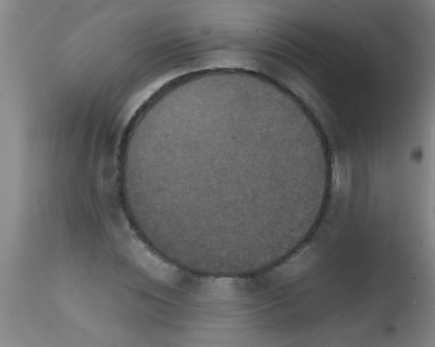 X0000112530828200909071355