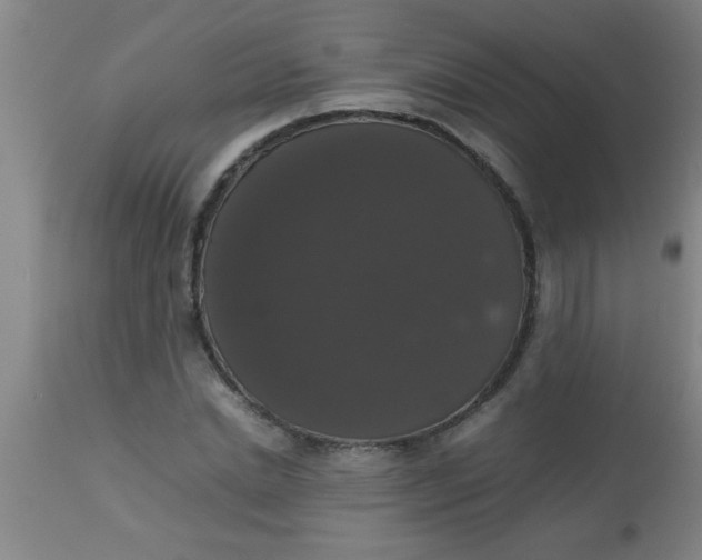 X0000112530830200909071355