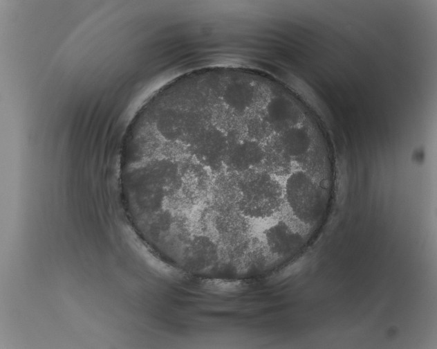 X0000112530831200909071355