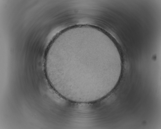 X0000112530832200909071355