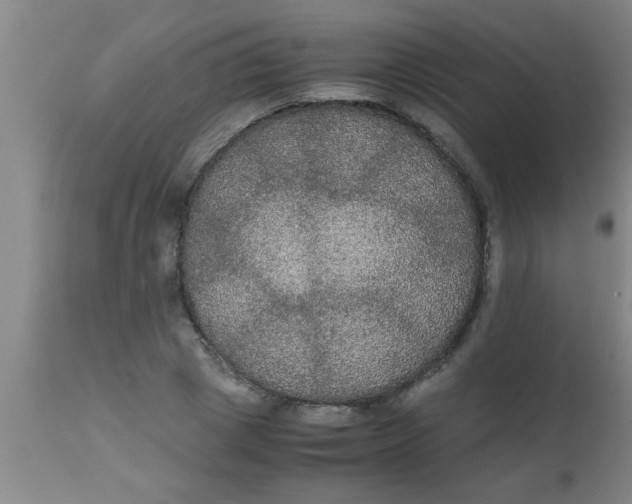 X0000112530833200909071355