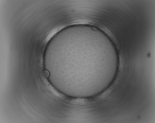 X0000112530834200909071355