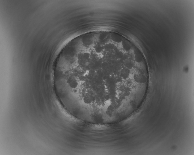 X0000112530835200909071355