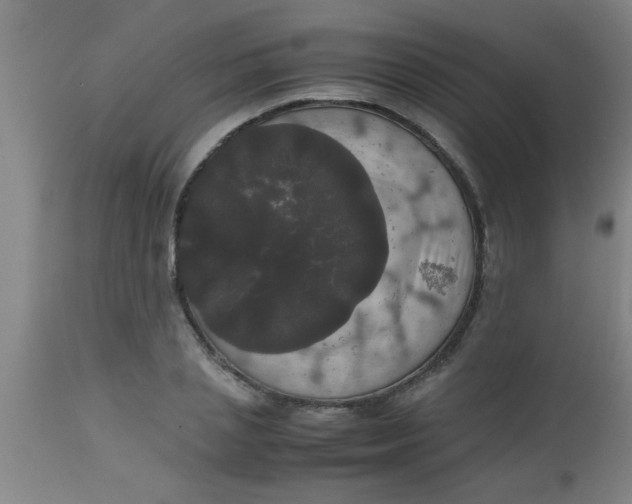 X0000112530837200909071355