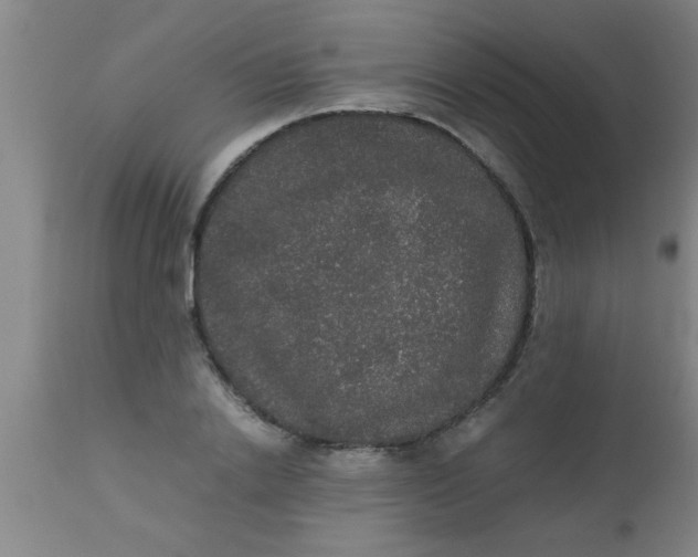 X0000112530838200909071355