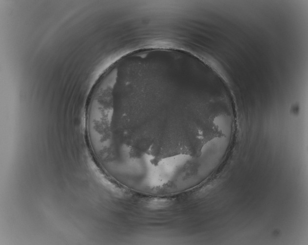 X0000112530839200909071355