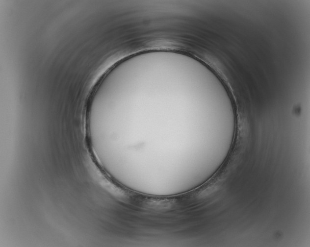 X0000112530843200909071355