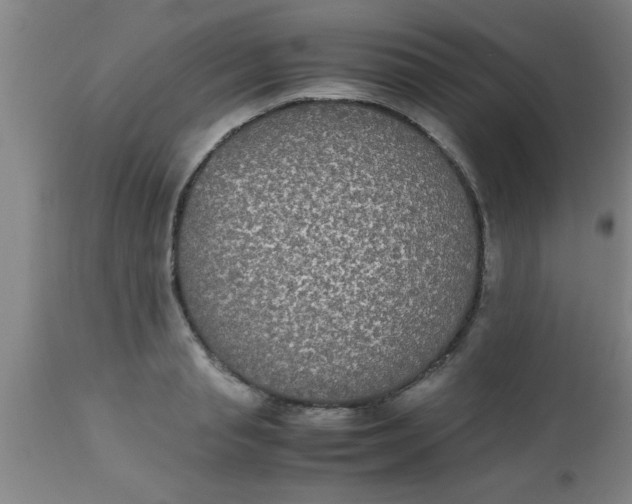 X0000112530845200909071355