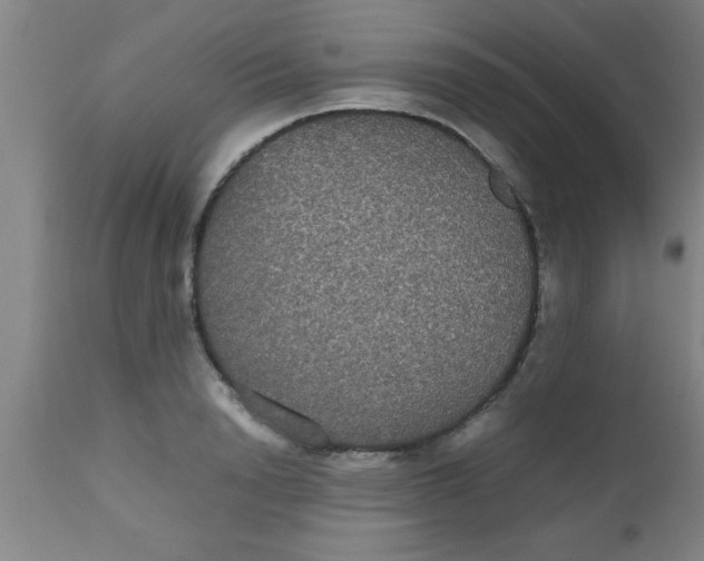 X0000112530846200909071356