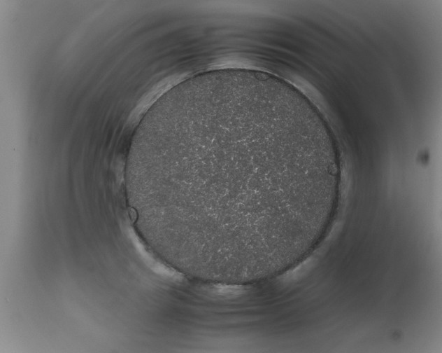 X0000112530849200909071356