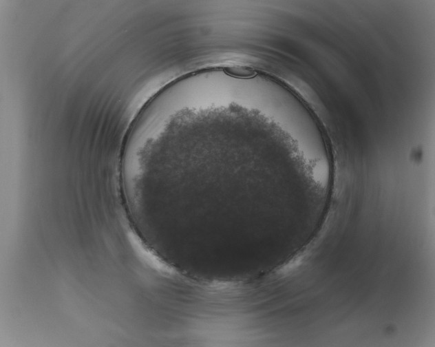 X0000112530850200909071356