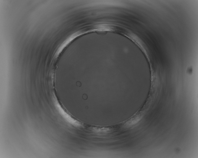 X0000112530851200909071356