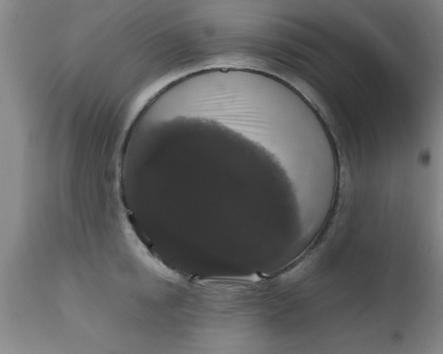 X0000112530854200909071356