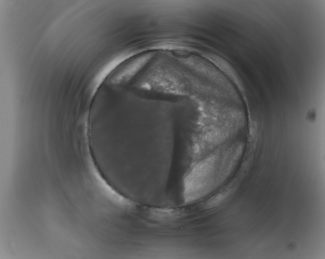 X0000112530855200909071356