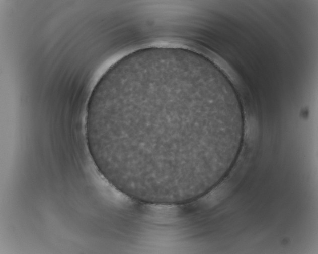 X0000112530856200909071356