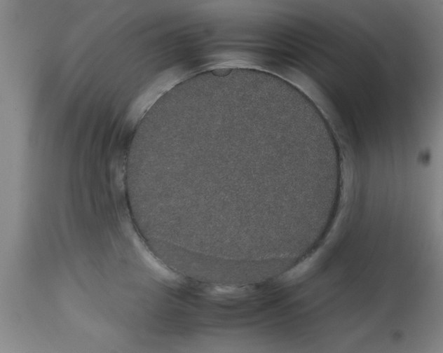 X0000112530857200909071356