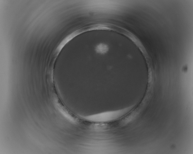 X0000112530858200909071356