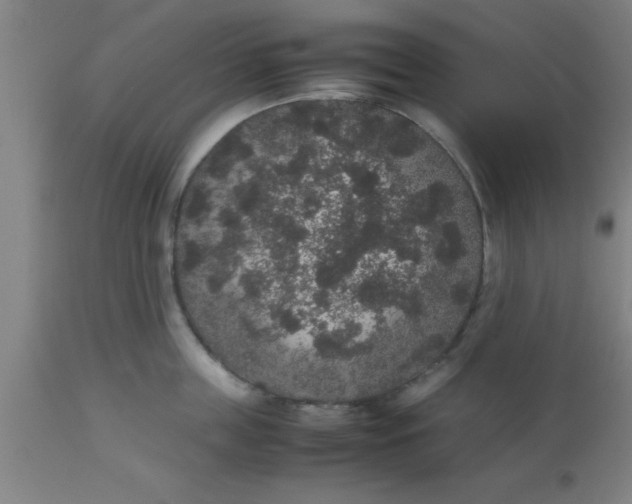 X0000112530859200909071356