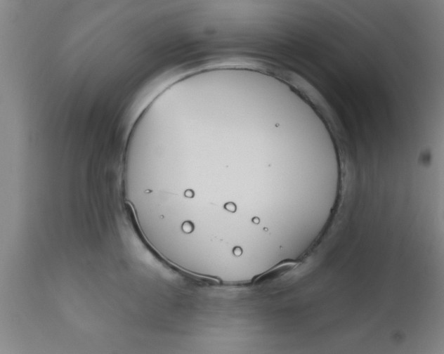 X0000112530860200909071356