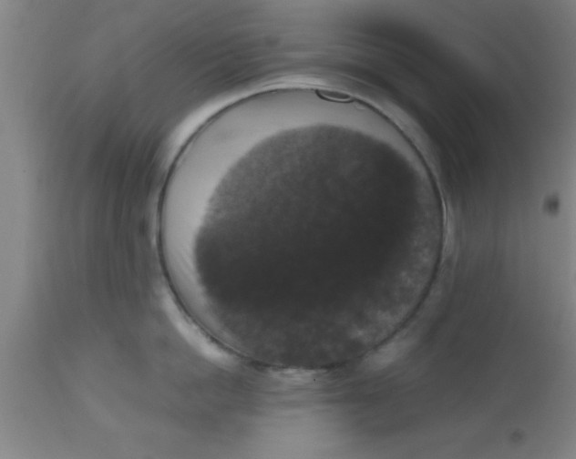 X0000112530862200909071356