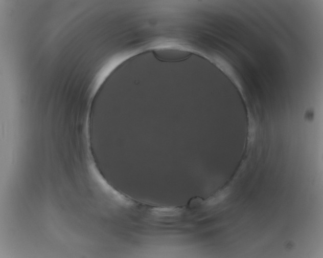 X0000112530863200909071356