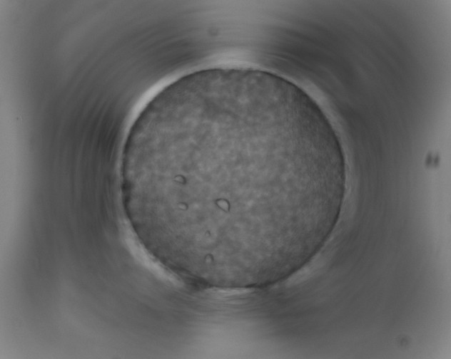 X0000112530864200909071356