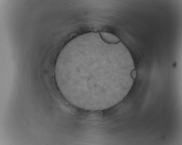 X0000112530865200909071355