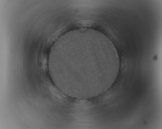 X0000112530866200909071355