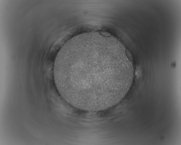 X0000112530867200909071355