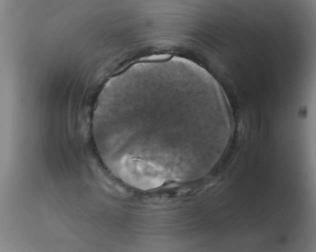 X0000112530868200909071355