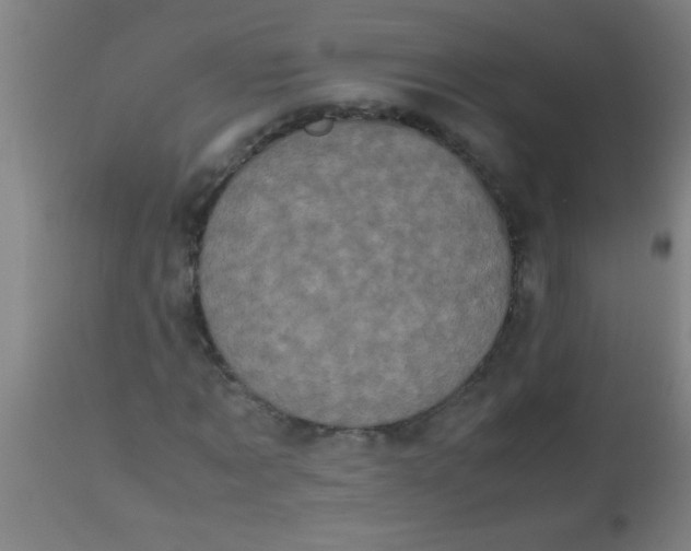 X0000112530869200909071355