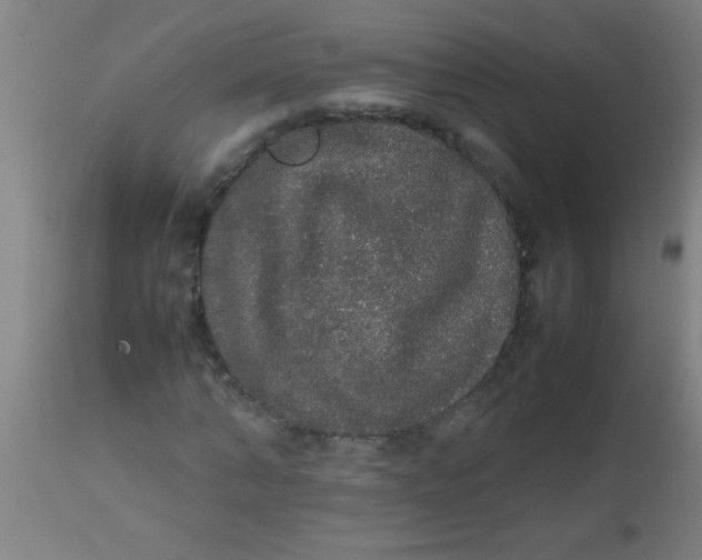 X0000112530870200909071355