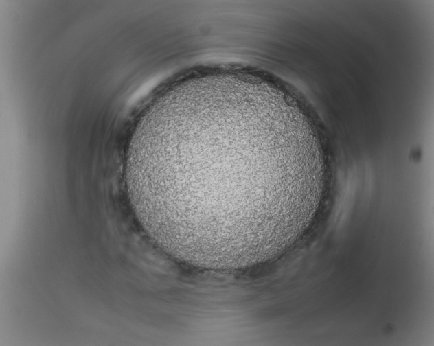 X0000112530871200909071355