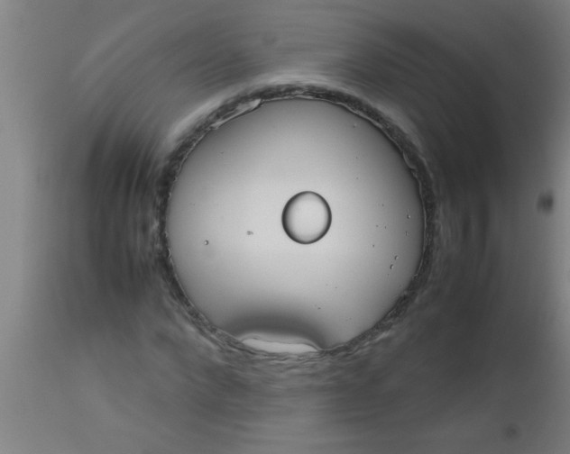 X0000112530872200909071355