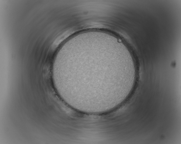 X0000112530873200909071355