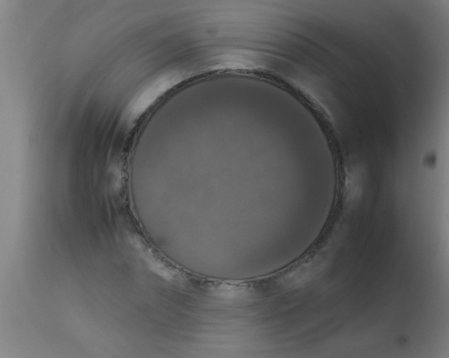 X0000112530874200909071355