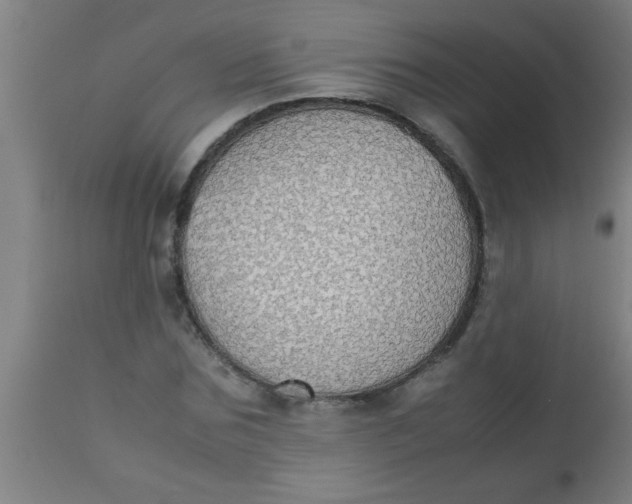 X0000112530875200909071355