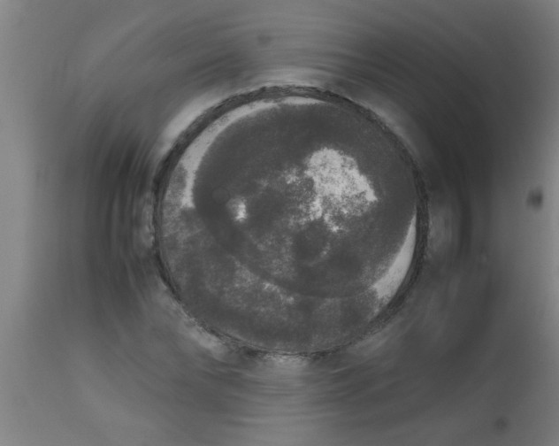 X0000112530878200909071355